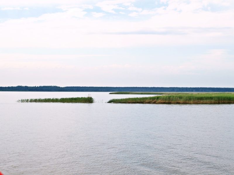 Boddenkueste-fischland-darss-zingst