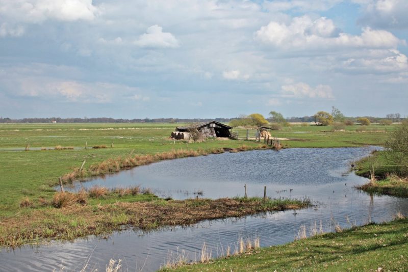spaziergang-wuemmewiesen-bremen