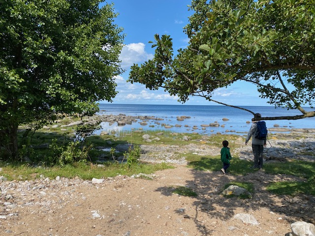 Mit Kindern wandern Südschweden
