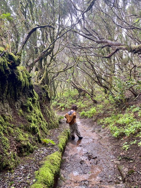 Wandern mit Kindern Taganana Route