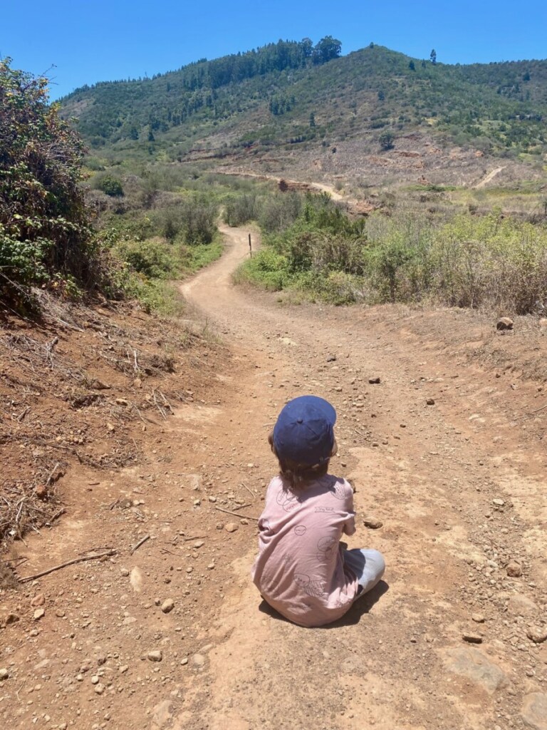 Wandern Picknick Ideen Kinder