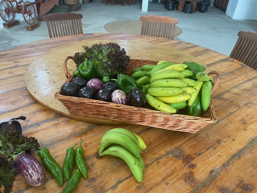 schnelle Picknick Snacks für unterwegs mit Kindern