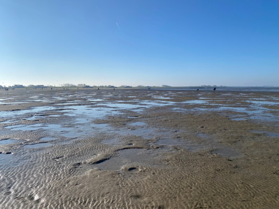 Ins Watt an der Nordsee mit Baby und Kindern 