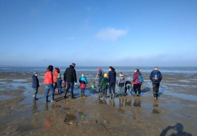 Wattwanderung mit Baby