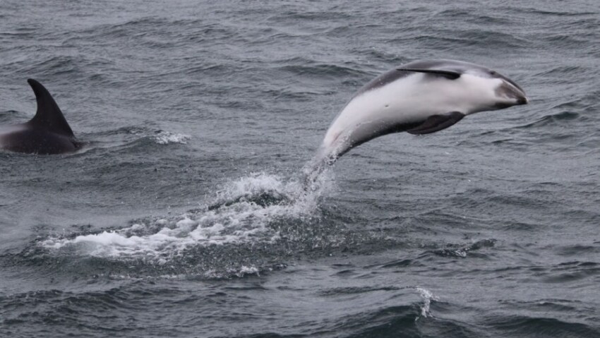 Island Tipps und Highlights für Kinder