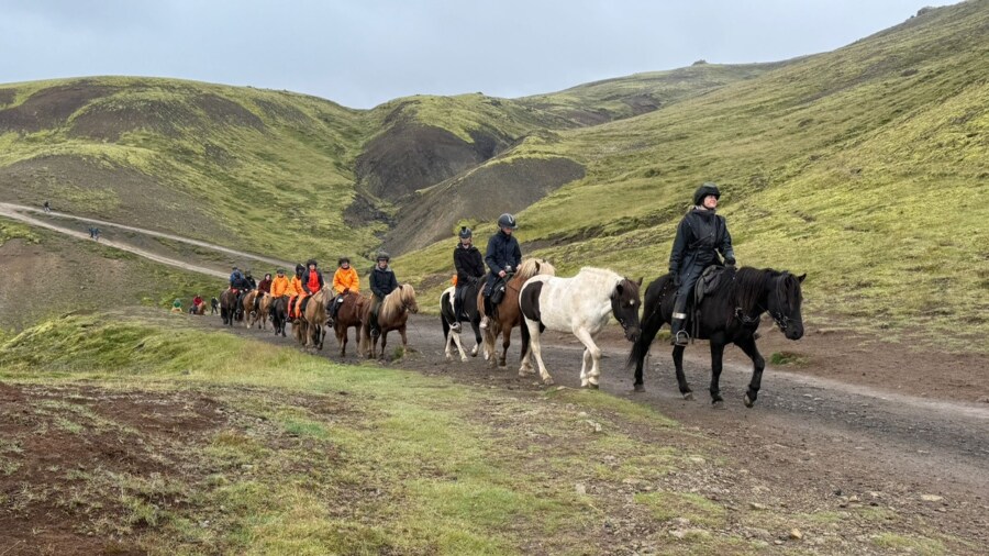 Islandpferde Hveragerði Tour heiße Quellen