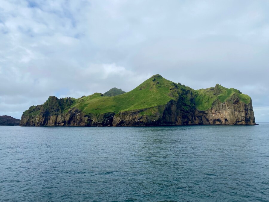 Tagesausflug Westmännerinseln Island