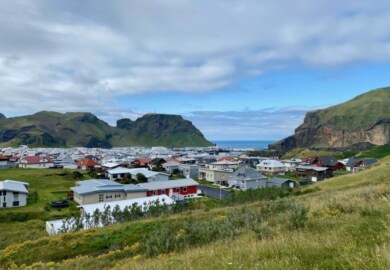 Tagesausflug zu den Westmännerinseln Island