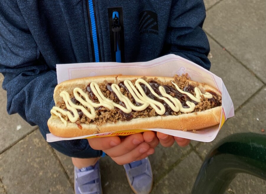 Veganer Hot Dog Reykjavik Island