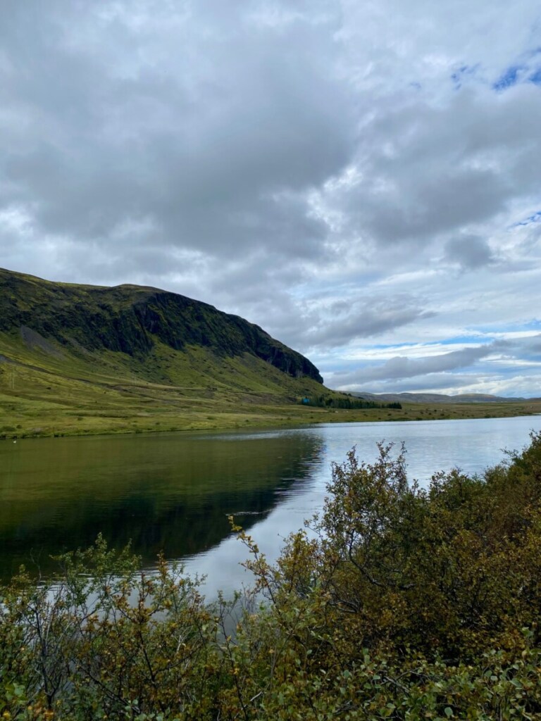 Þrastaskógur bei Selfoss wandern