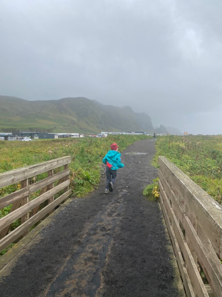 Vík í Mýrdal Island-Reise Highlights