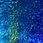 Geschenkideen für Reisefans und Urlaubsliebhaber