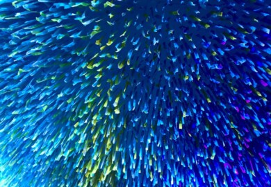 Geschenkideen für Reisefans und Urlaubsliebhaber