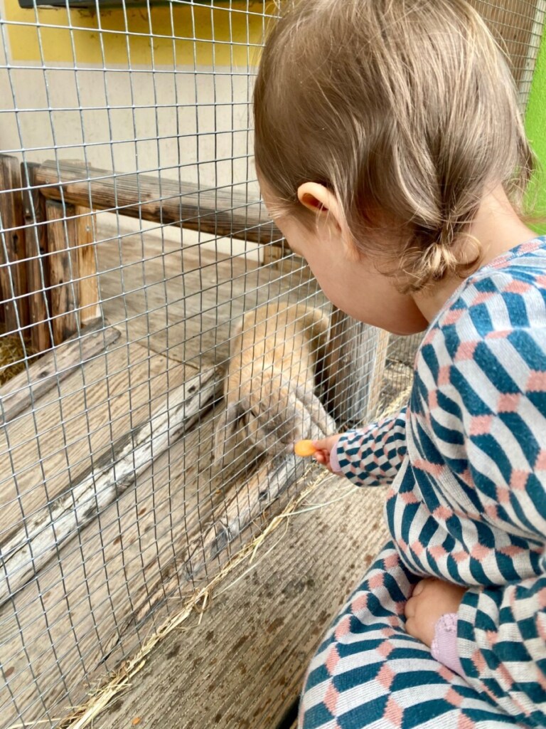 Scharmützelland Wendisch Rietz Kinder
