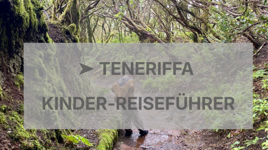 Button mit Link zum Artikel: Teneriffa mit Kindern