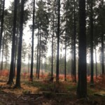 Harz mit Kindern Tipps