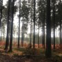 Harz mit Kindern: Die schönsten Ausflugsziele, Regionen & Unterkünfte für euren Familienurlaub