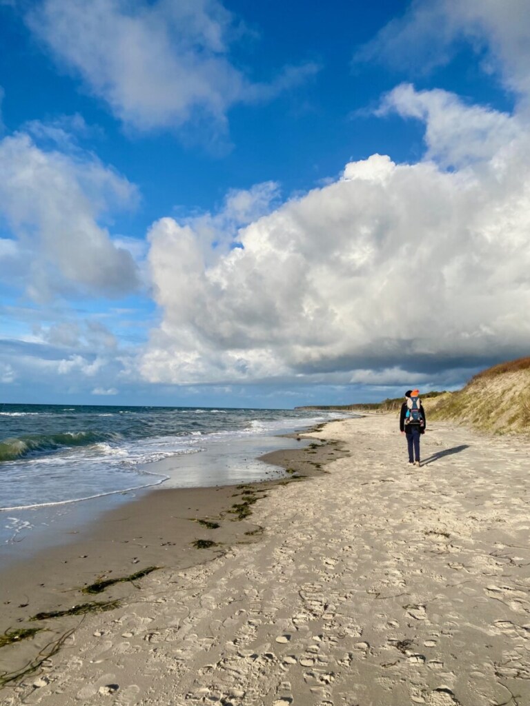 einsamer Strand an der Ostsse
