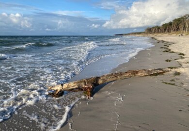 Herbsturlaub in Zingst: Alle Tipps und Erfahrungen