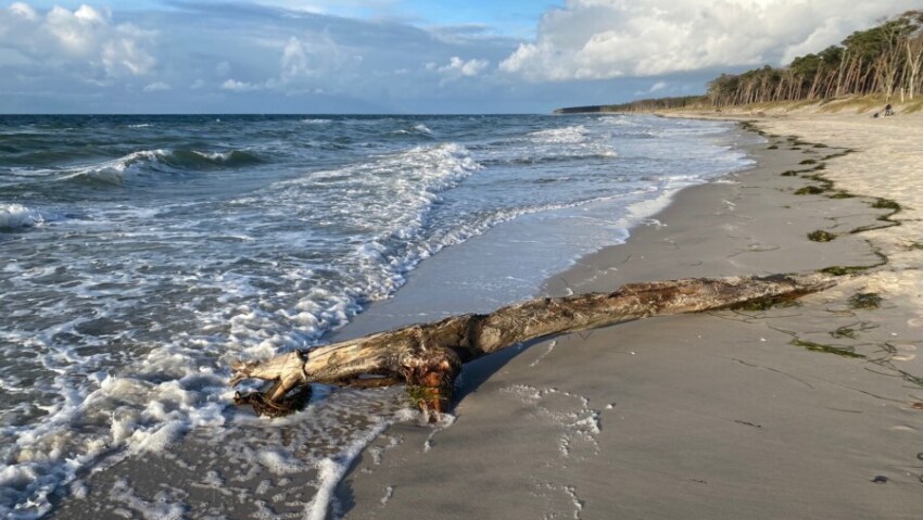 Herbsturlaub in Zingst: Alle Tipps und Erfahrungen