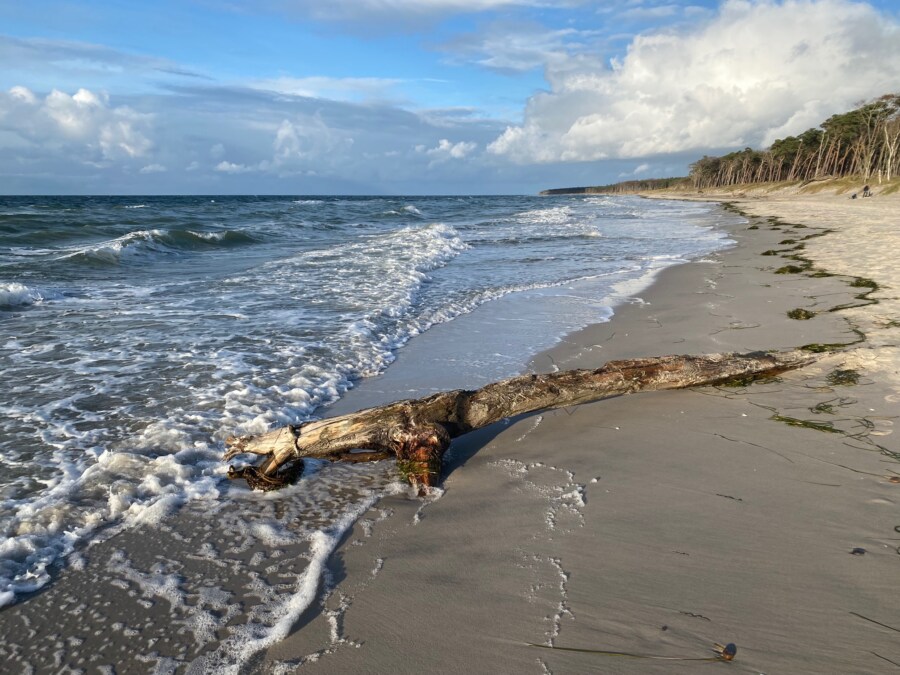 Herbsturlaub in Zingst: Alle Tipps und Erfahrungen