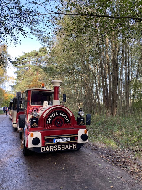 Mit der Bimmelbahn durch den Hersbtwald zum Darsser Ort Hirsche angucken