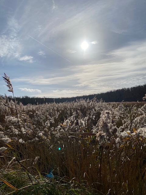Urlaub an der Ostsee im Herbst Tipps