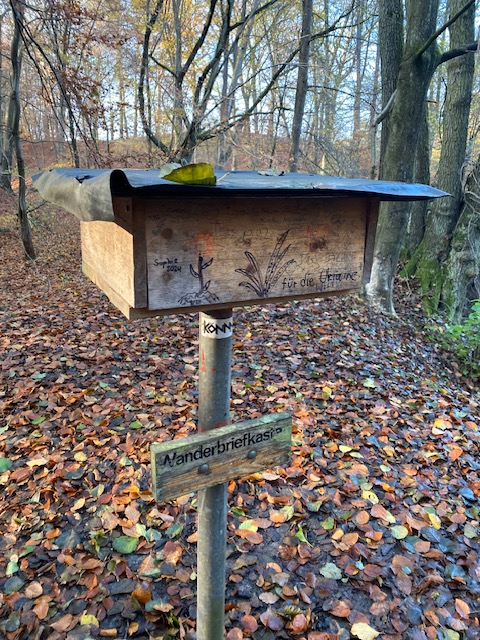 Spaziergang durch den Wald im Herbst