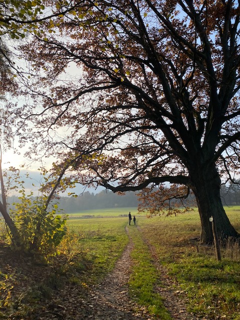 Brandenburg Wanderung Tipp mit Tourenverlauf