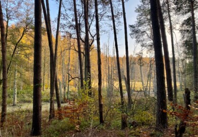 Wanderung von Biesenthal nach Lanke am Hellsee