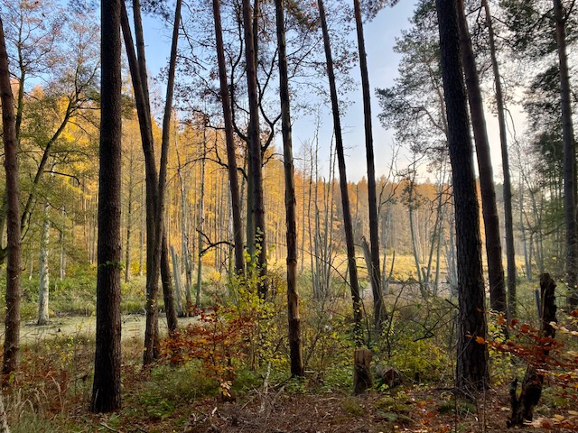 Wanderung von Biesenthal nach Lanke am Hellsee