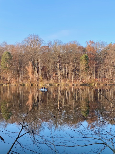 Der Hellsee: ein wunderschöner See in Brandenburg