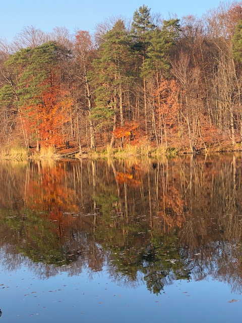 Herbstlaub spiegelt sich im Wasser des Hellsees