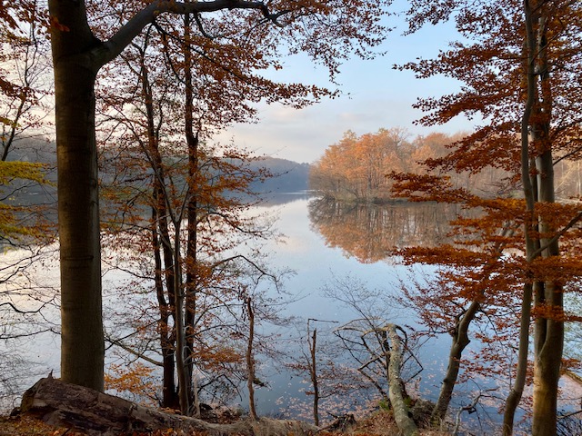Hellsee Wanderroute in Brandenburg