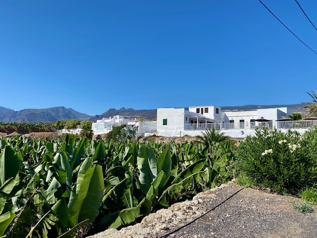 Teneriffa Norden oder Süden: Wo ist es am schönsten?