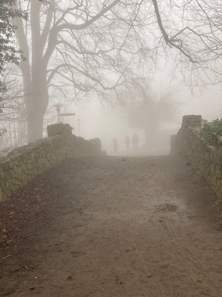 Burgberg Bad Harzburg Tagestripp