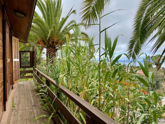Urlaub La Orotava Teneriffa Nord