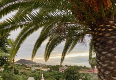 Teneriffa mit Baby Erfahrungen