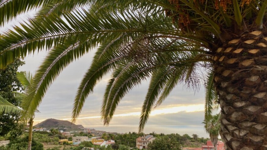 Teneriffa mit Baby Erfahrungen