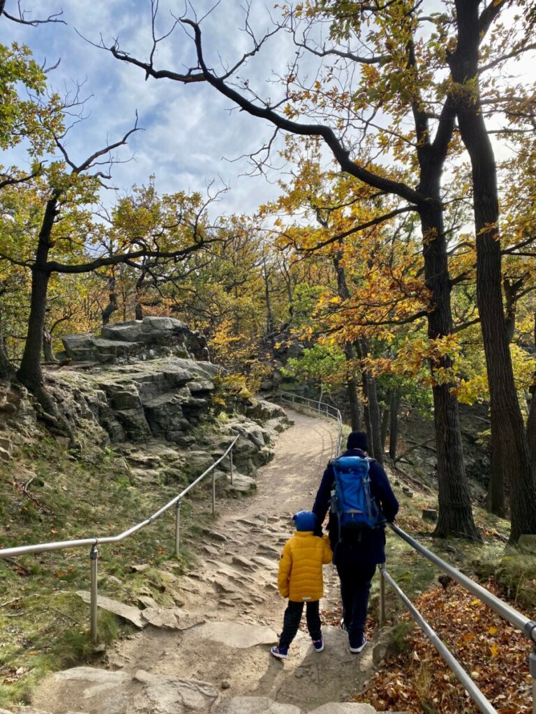 Harz Familienurlaub Ideen und Erfahrungen