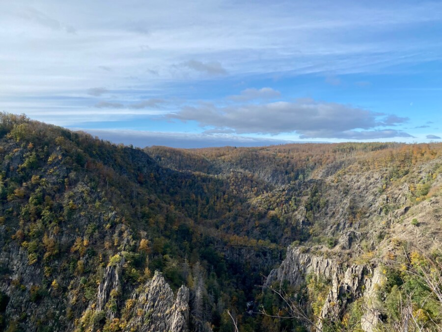 wandern mit Kindern im Harz